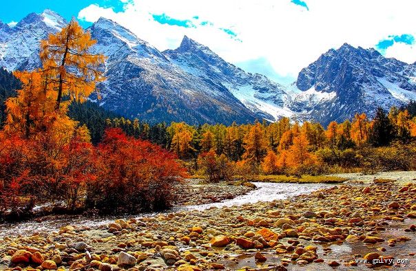 ����Ϊ������С��ʿ�� ���﹵���ֳƱ��﹵�羰��