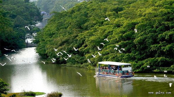 非遗美食之旅 广东·岭南古韵 非遗美食之旅 广东·岭南古韵